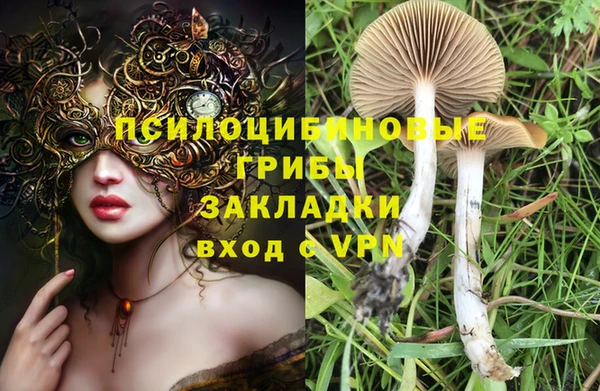 прущие крисы Богородск