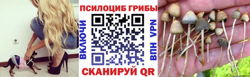 MEGA как войти  Княгинино  Псилоцибиновые грибы MAGIC MUSHROOMS 